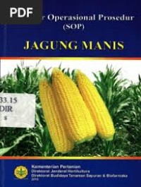 Image of standar operasional prosedur jagung manis